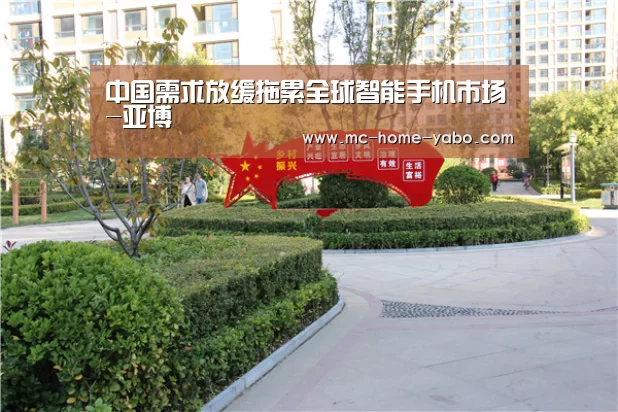 中国需求放缓拖累全球智能手机市场-亚博(图3) 亚博官方网站