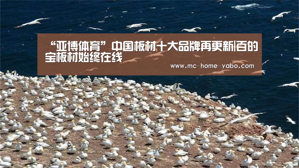 “亚博体育”中国板材十大品牌再更新|百的宝板材始终在线(图1) 亚博体育