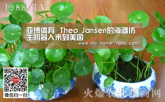 亚博体育-Theo Jansen的海滩仿生机器人来到美国(图1) 亚博