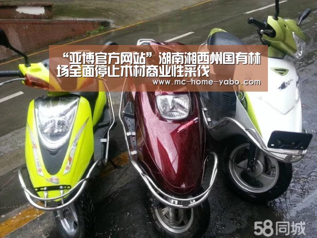 “亚博官方网站”湖南湘西州国有林场全面停止木材商业性采伐(图3) 亚博官方网站