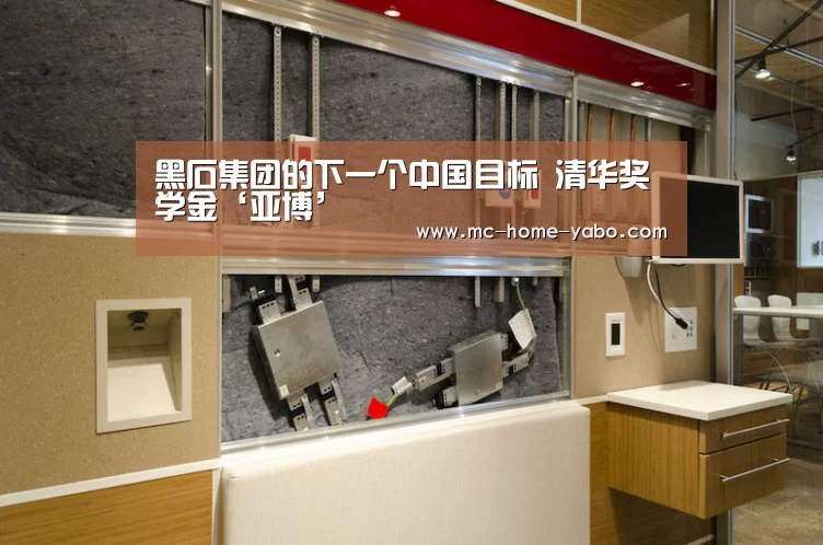 黑石集团的下一个中国目标 清华奖学金‘亚博’(图4) 亚博